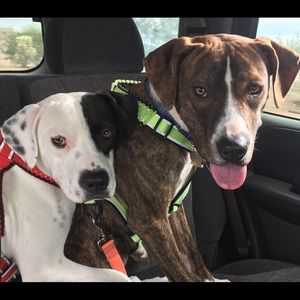 Meet your Posher, Alette